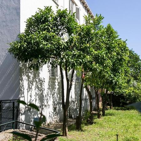 Apartment Blue & Green Dubrovnik Exterior foto